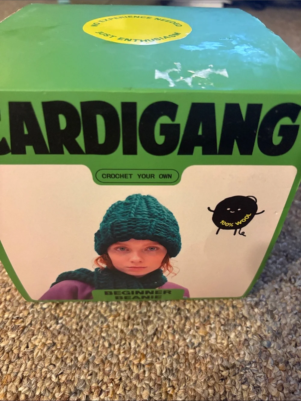 Cardigang Green Beanie - Women's Knit Crochet Hat Kit